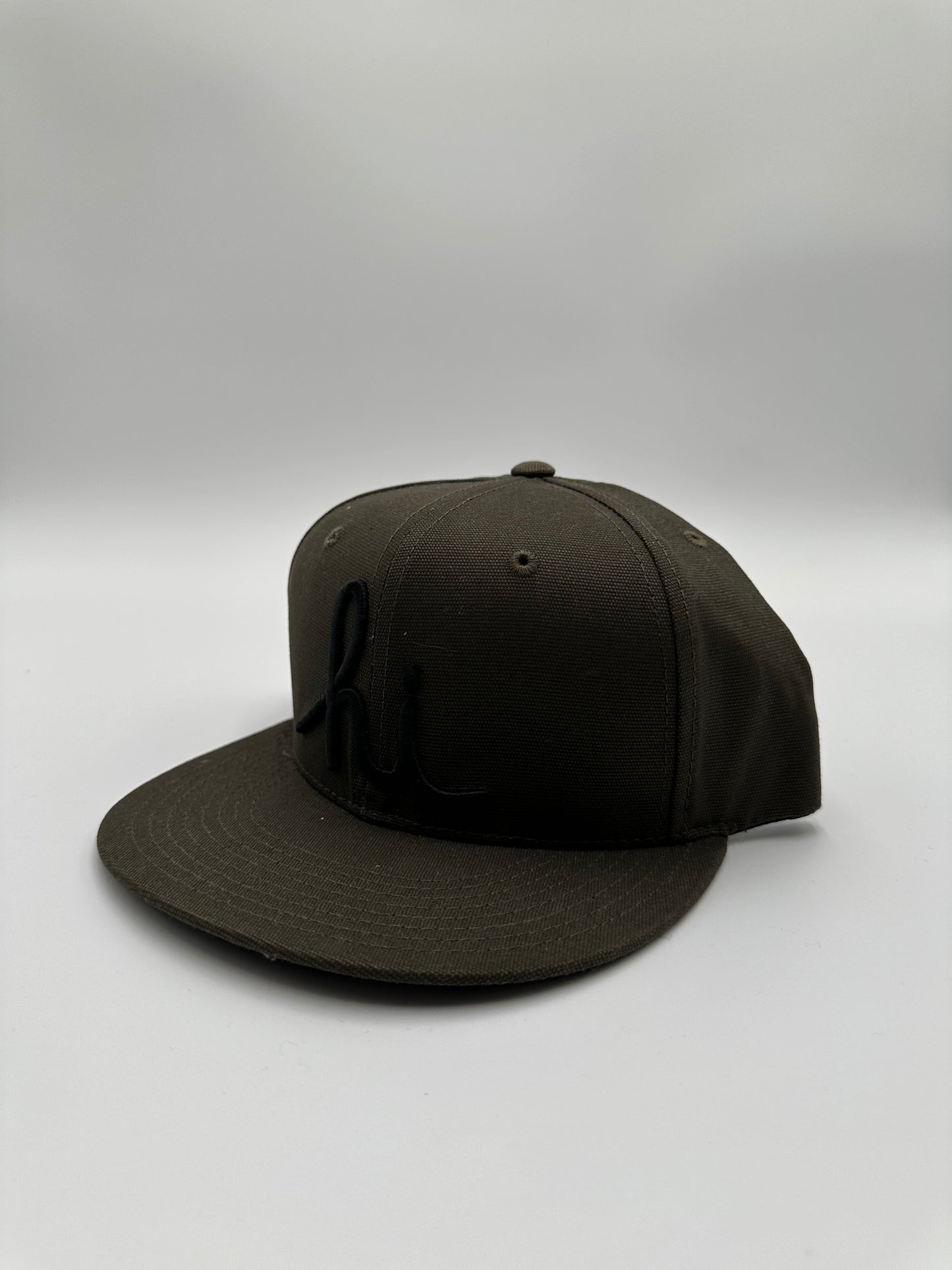 hi Script In4mation SnapBack