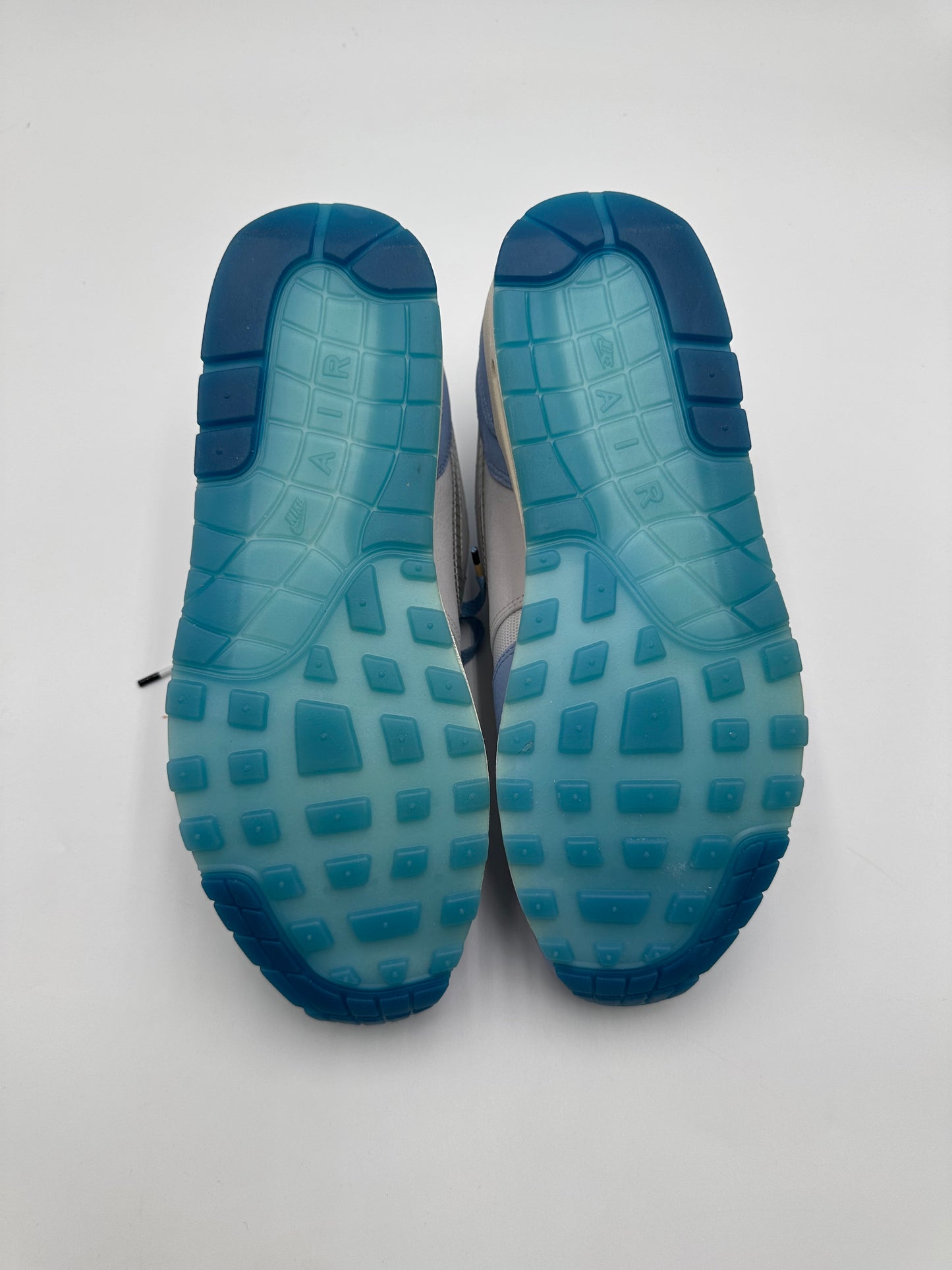Nike Air Max 1 Blueprint