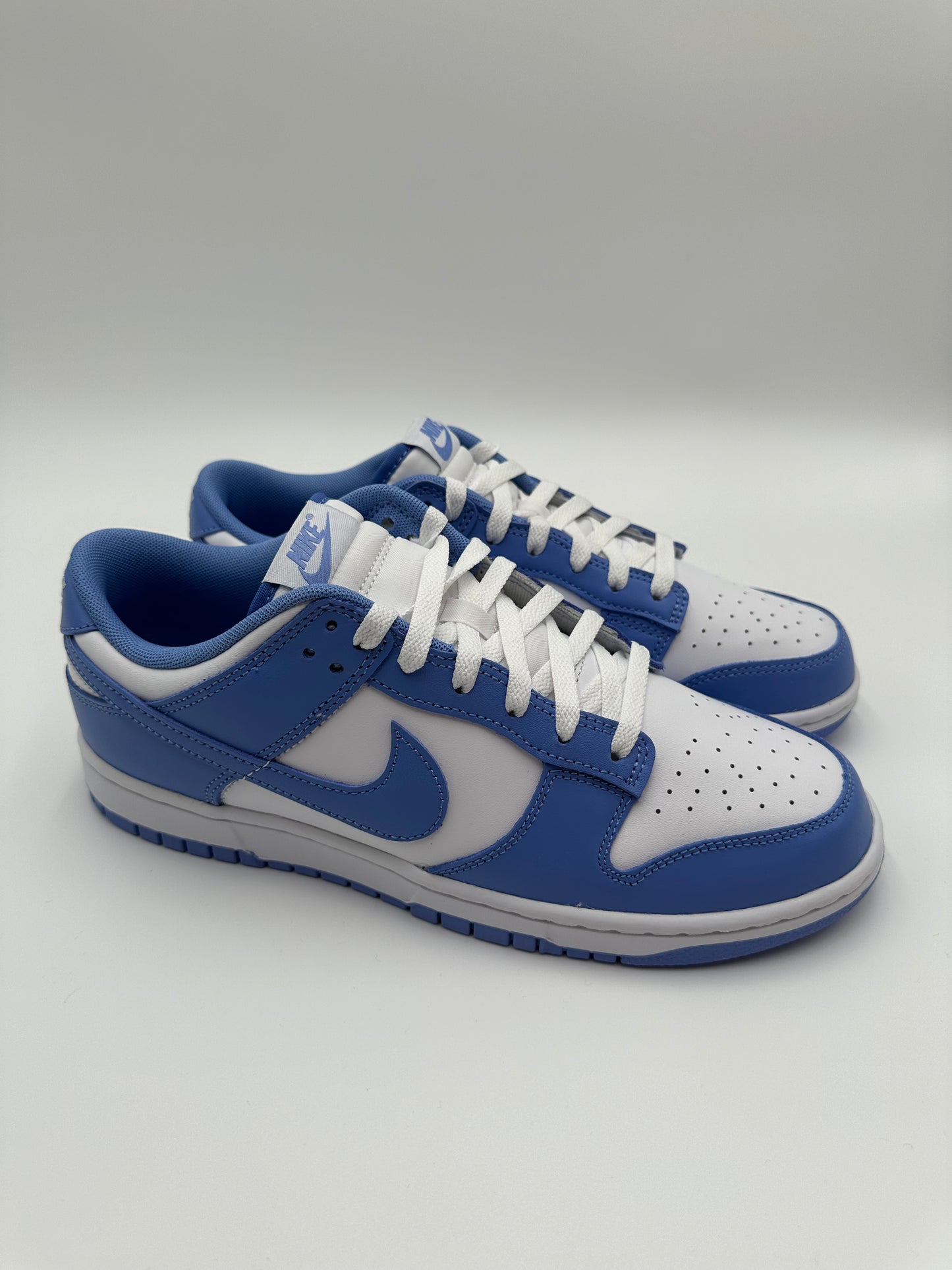 Nike Dunk Low Polar Blue